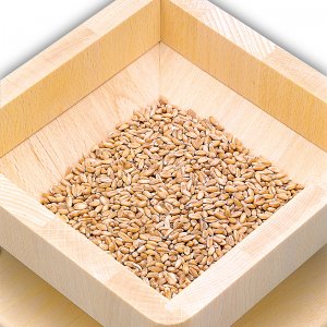 Bild 2 zu Artikel Getreidemühle hawos Mühle 2 